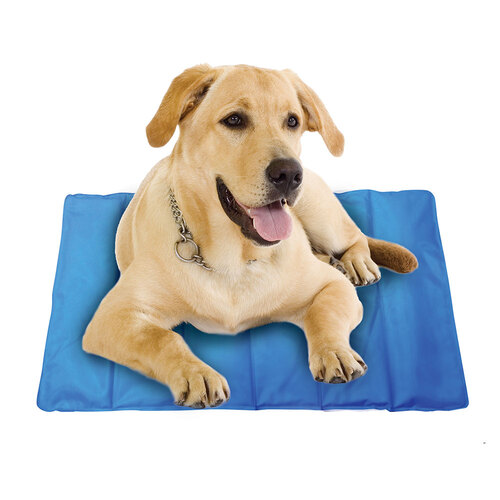 Spatastic Pet Cooling Mat Jumbo 90 x 60cm Blue
