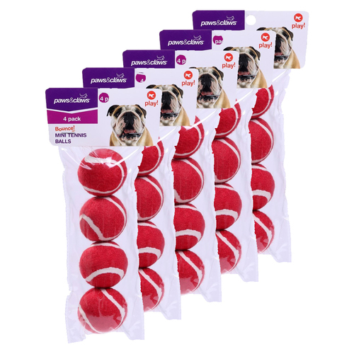 20pc Paws And Claws Mini Tennis Ball 4cm Assorted