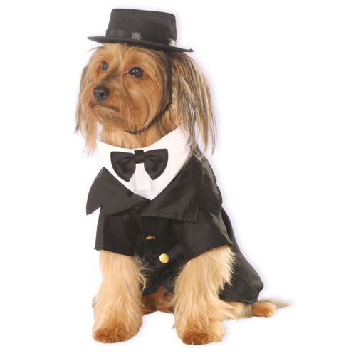 Marvel Dapper Pet Dress Up Costume For Dogs - Size XL
