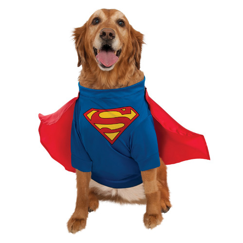 Dc Comics Superman Deluxe Pet Dress Up Costume - Size L For Dogs 