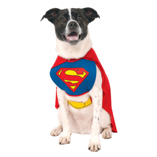 Dc Comics Superman Classic Pet Pet Dress Up Costume - Size M