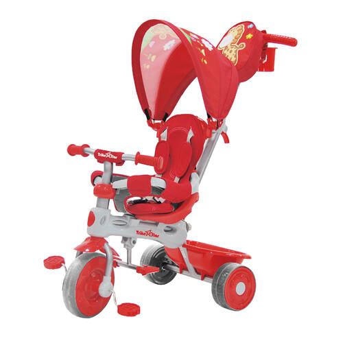 kids tricycle online