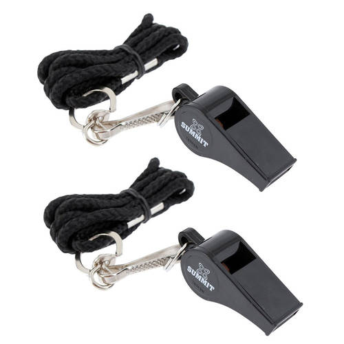 2PK Summit Pealess whistle with lanyard