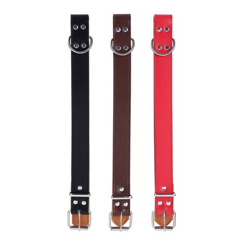 3PK Paws & Claws Premium Original Dog/Pet 52-65x3cm Collar Padded XL - Assort