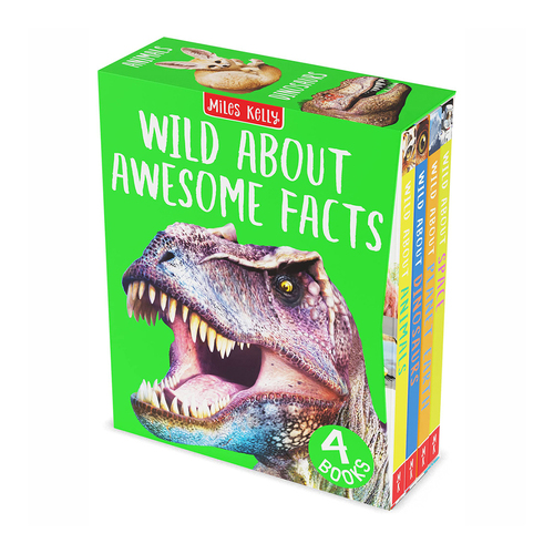 4pc Miles Kelly Wild About Awesome Facts Reading Book