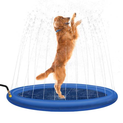 Paws & Claws Pet Sprinkler Splash Pad 100cm