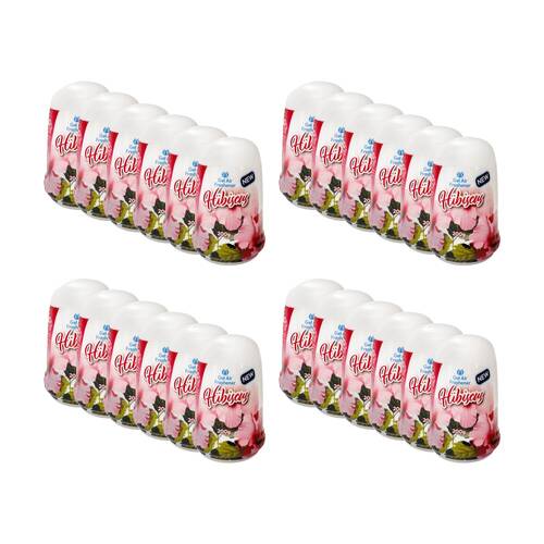 24PK Cleana Air Fresh Cone Gel Room Freshener 200g Hibiscus/Floral Fragrance 