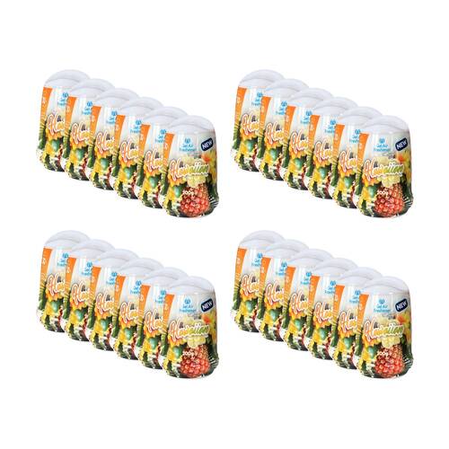 24PK Cleana Air Fresh Cone Gel Room Freshener 200g Hawaiian/Tropical Fragrance