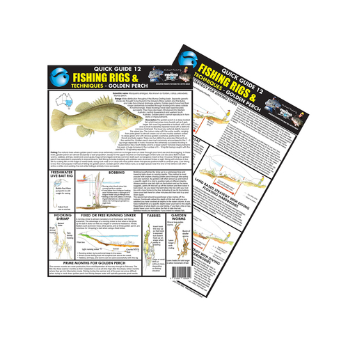 AFN A4 Quick Guide 12 Golden Perch Fishing Tips Handy Manual