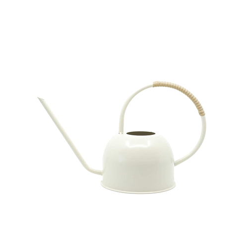 Rayell Jorah 36cm Metal Watering Can Plant/Flower - Gardenia