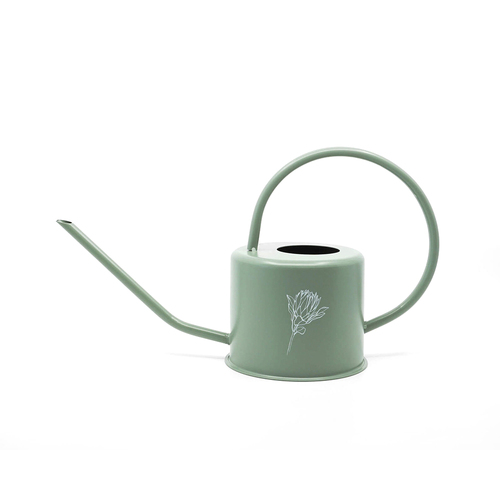 Rayell Homewares Watering Can Bloom Olive 36x18x14