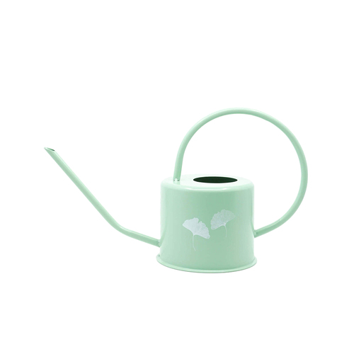 Rayell Ginkgo 36cm Metal Watering Can Home/Garden - Pistachio 