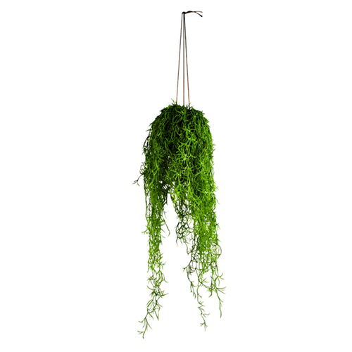 Maine & Crawford 74cm Faux Airplant In Hanging Pot Artificial - Green