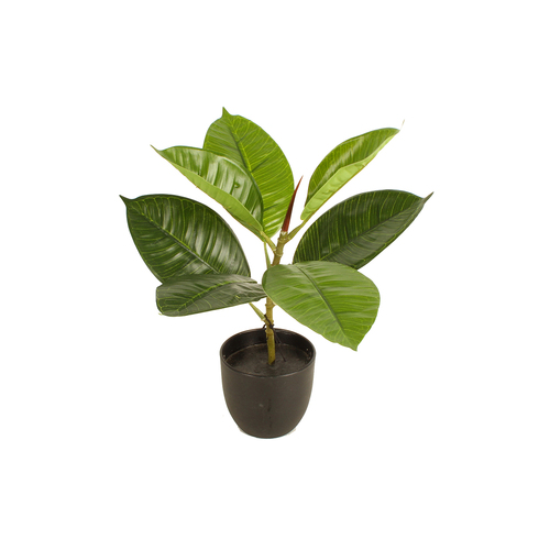 Maine & Crawford 30cm Potted Artificial Rubber Plant