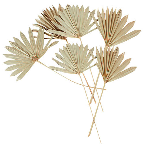 4x 2pc Maine & Crawford 55cm Artificial Sun Spear Plant - Natural
