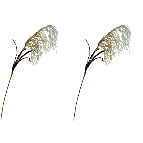 2PK Maine & Crawford 90cm Reed Spray Artificial Plant - White