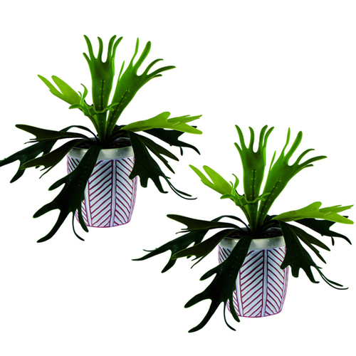 2PK Maine & Crawford Lillian 16cm Ceramic Pot w/ Faux Plant