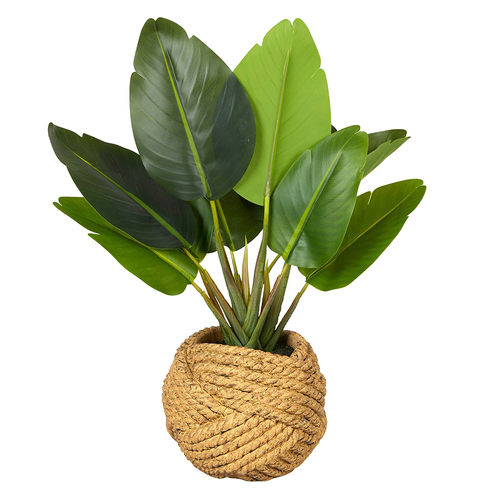 Life Botanic 40cm Banana Tree Real Touch Pot
