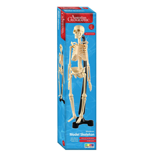 Australian Geographic Mini-Skeleton 46cm Kids/Childrens Toy 7+