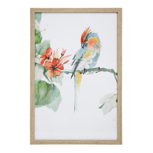 LVD Print Crested Parrot 40x60cm Glass/Resin Framed Wall Art Display