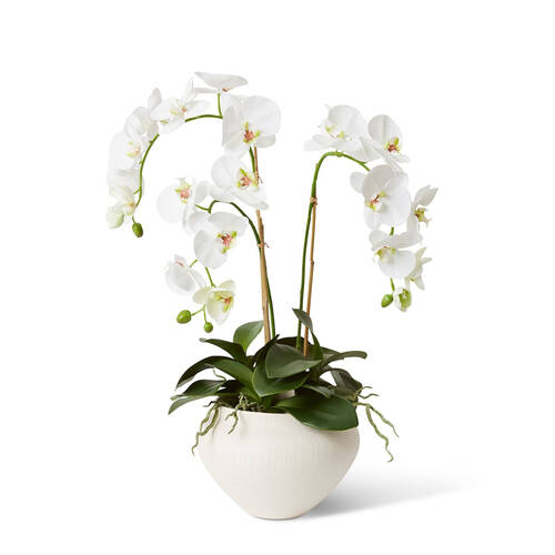 E Style Phalaenopsis Deluxe Theo Pot Artificial Decor 70cm White