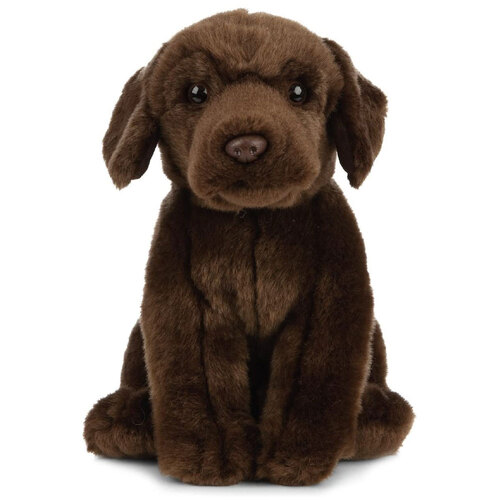 Living Nature Chocolate Labrador 20cm