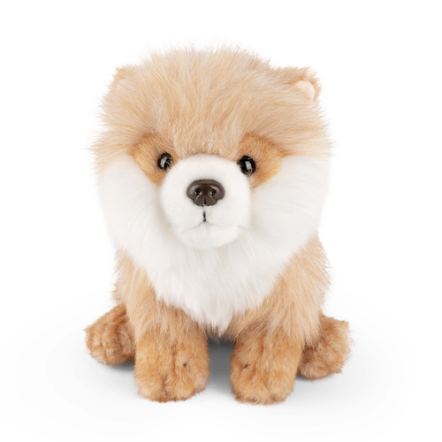 Living Nature 20cm Pomeranian Dog Animal Plush Toy 0m+