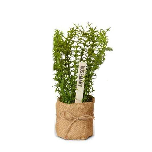 E Style Artificial 25cm Plastic Herbs in Burlap - Assorted