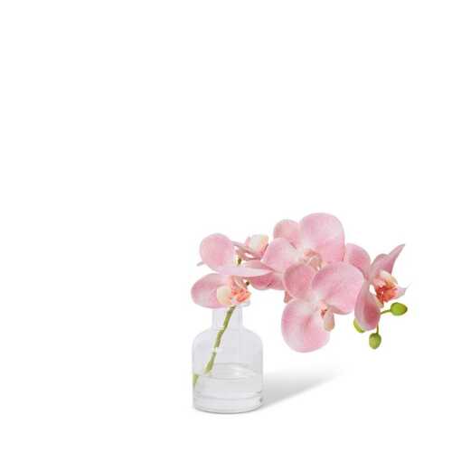 E Style Artificial 25cm Plastic Phalaenopsis Orchid in Vase - Pink