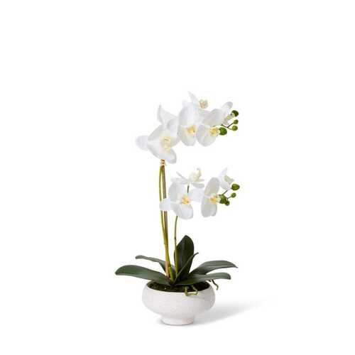 E Style Artificial 45cm Plastic Phalaenopsis Footed Bowl - White/Cream