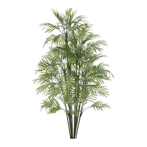 Belle Parlour Palm Plastic/Artificial Indoor Decor 1.2m - Green