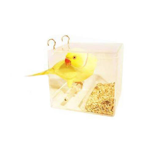 SeedMate Garden/Outdoor Acrylic Hanging Bird Feeder Small - Clear