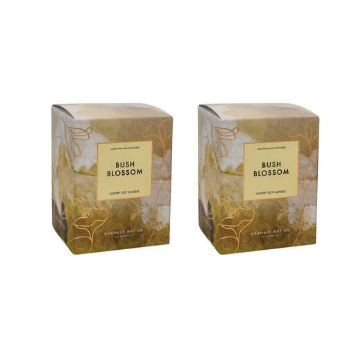 2PK Bramble Bay Native Plum Bush Blossom Scented Ceramic Candle 270g