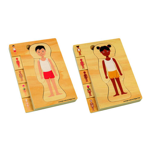 Bigjigs Toys Wood Anatomy Puzzle Boy/Girl Kids Puzzles Toys Combo Set 3y+