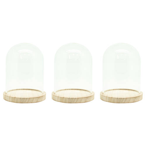 3PK Boyle Glass Cloche w/Wooden Base Display Case for Art/Collectables 17cm