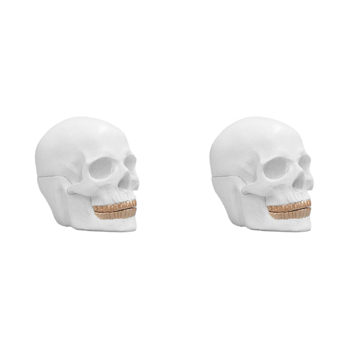 2PK White Moose Skull Bowl Home/Living Room Tabletop Decor - White/Gold