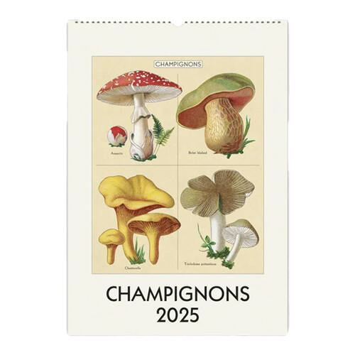 Cavallini 2025 Wall Calendar - Champignons 48x33cm