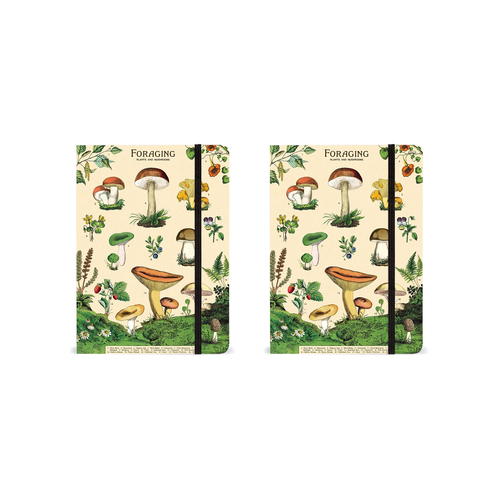2PK Cavallini Notebook Writing Stationery Large - Foraging