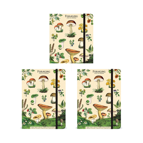 3PK Cavallini Notebook Writing Stationery Large - Foraging