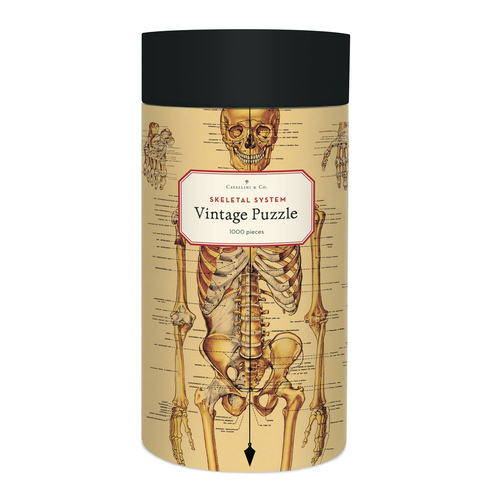 1000pc Cavallini Jigsaw Puzzle Skeletal System 55x70cm Educational Game 