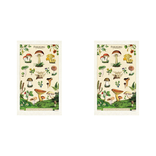 2PK Cavallini Cotton Kitchen Tea Towel 48x80cm - Foraging
