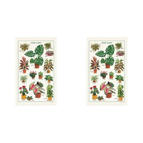 2PK Cavallini Cotton Kitchen Tea Towel 48x80cm - House Plants