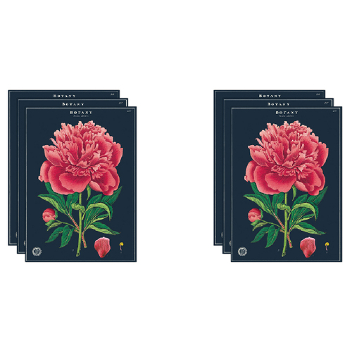 6PK Cavallini Paper Poster Prints/Gift Wrap 50x70cm - Botany Study