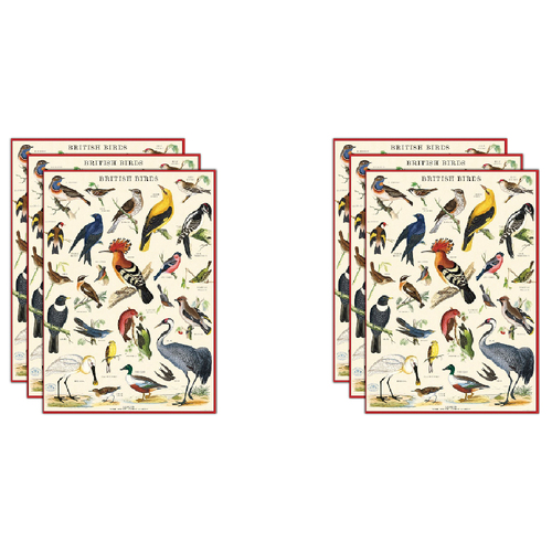 6PK Cavallini Paper Poster Prints/Gift Wrap 50x70cm - British Birds