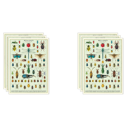 6PK Cavallini Paper Poster Prints/Gift Wrap 50x70cm - Bugs & Insects