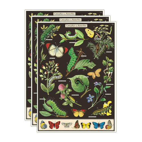 3PK Cavallini Paper Poster Prints/Gift Wrap 50x70cm - Caterpillars