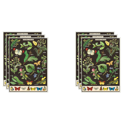 6PK Cavallini Paper Poster Prints/Gift Wrap 50x70cm - Caterpillars