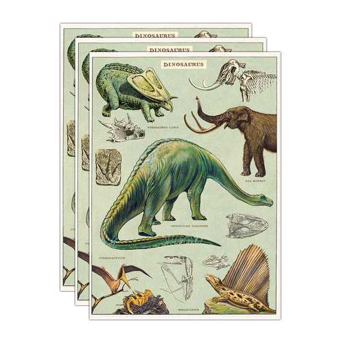 3PK Cavallini Paper Poster Prints/Gift Wrap 50x70cm - Dinosaurs