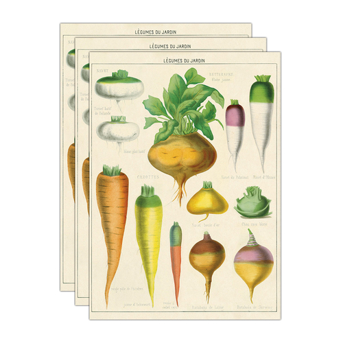 3PK Cavallini Paper Poster Prints/Gift Wrap 50x70cm - Legumes Du Jardin