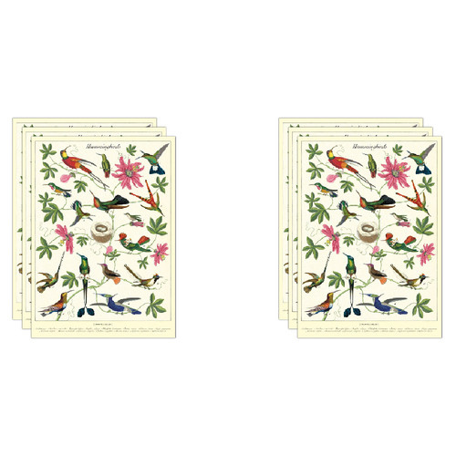 6PK Cavallini Paper Poster Prints/Gift Wrap 50x70cm - Hummingbirds